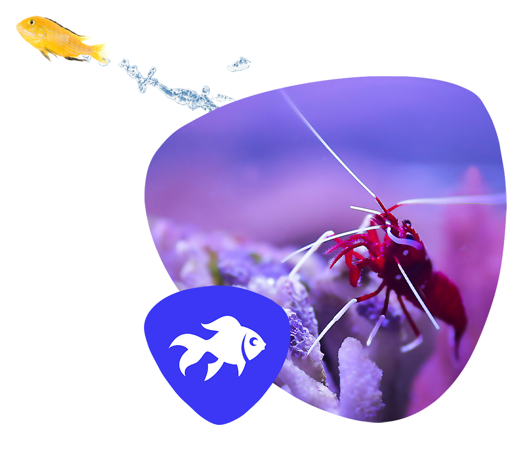Startseite Aquaristik4 Startseite Aquaristik4